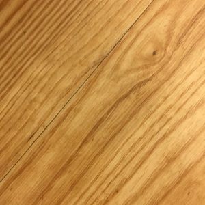 Meet your Posher, Julius